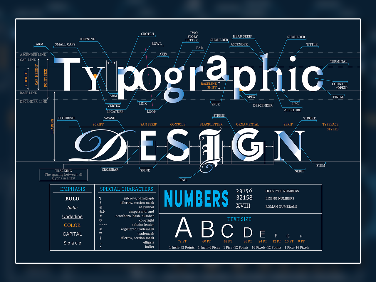 Typography Anatomy
