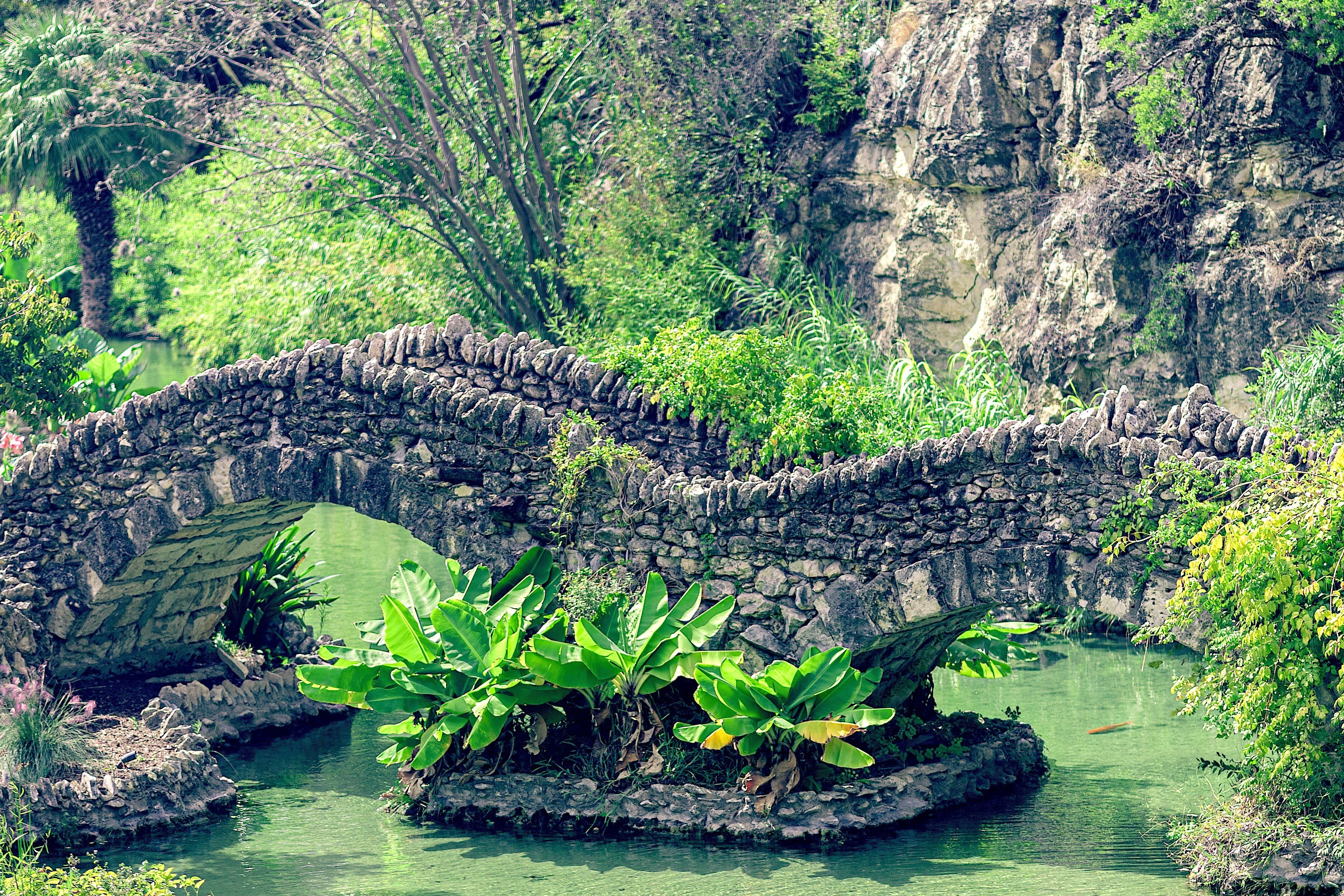bridge-1