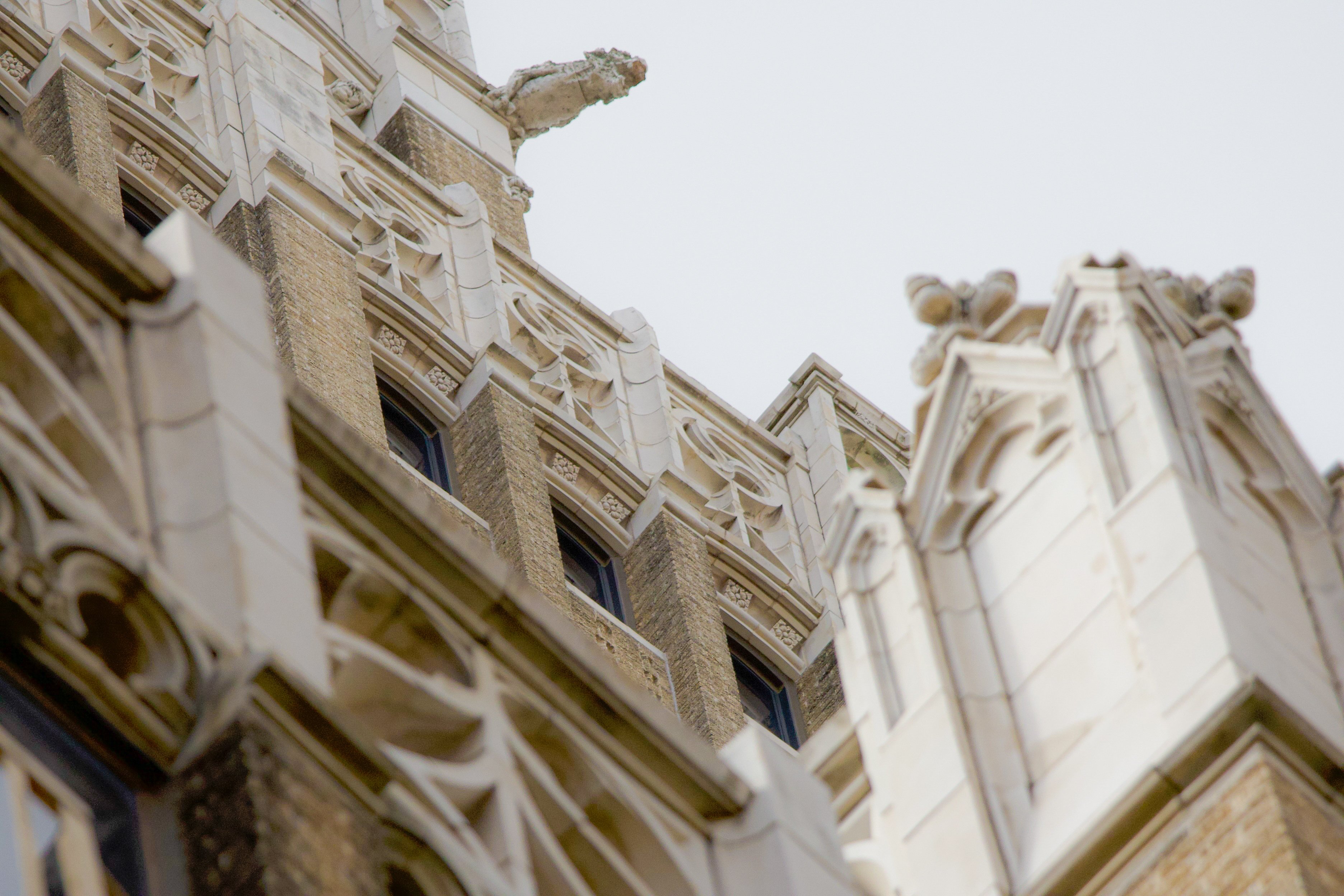 gargoyle1-1