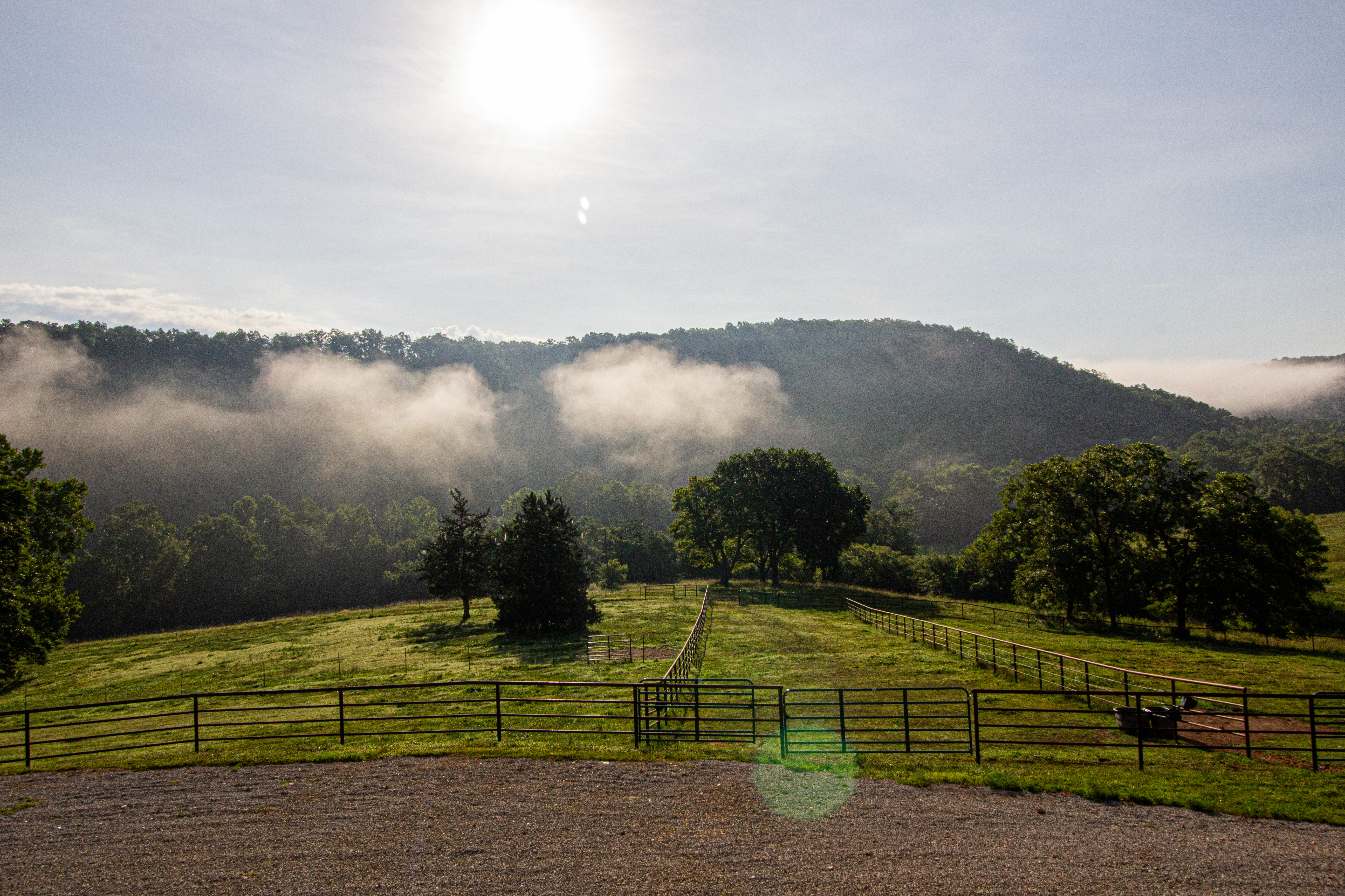 hillside
